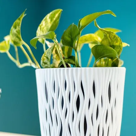 263 Zentrum Nord Messe,hbf,a14 公寓 莱比锡